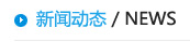 新聞動(dòng)態(tài)